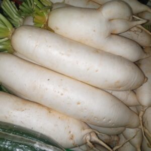 White raddish